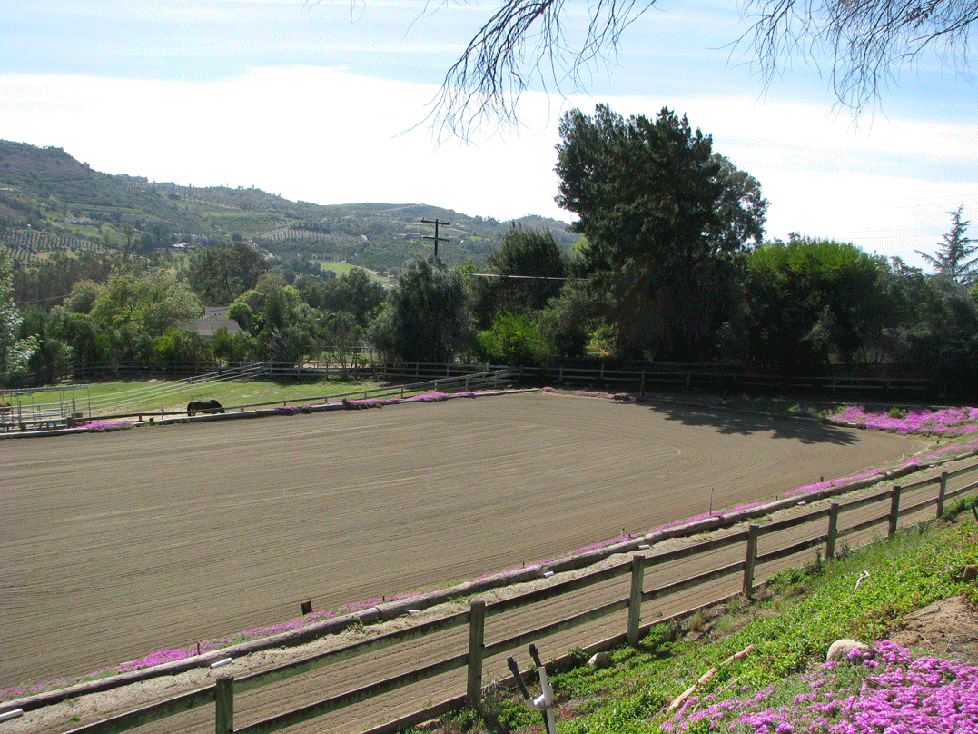 Riding Arena