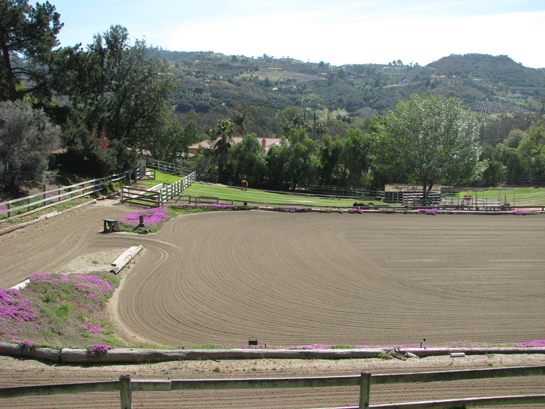 Riding Arena