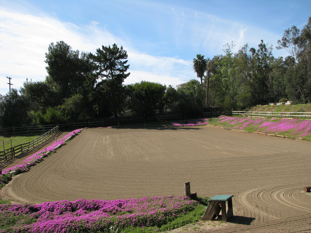 Riding Arena