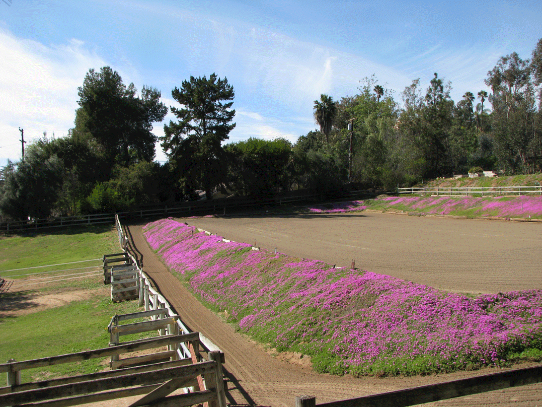 Riding Arena
