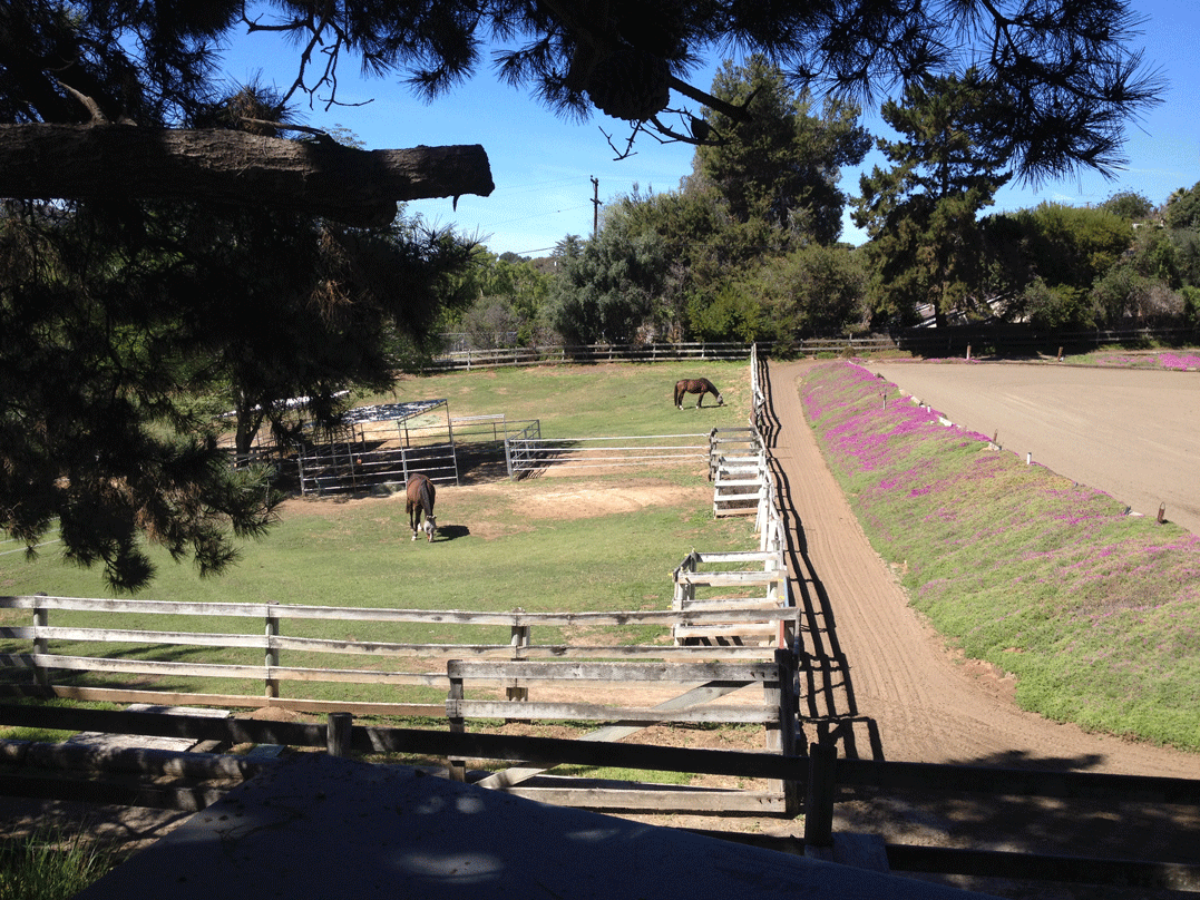 Riding Arena, Path & West Pasture