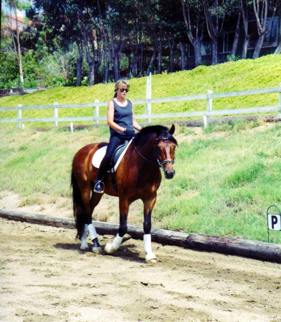 Riding Arena