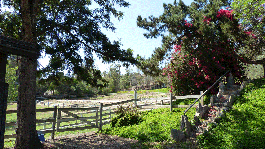 Barn courtyard out to west pastures and arena