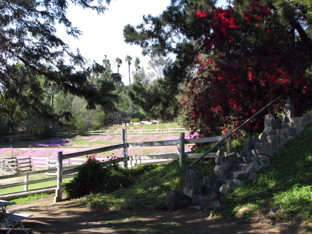 Barn courtyard out to west pastures and arena
