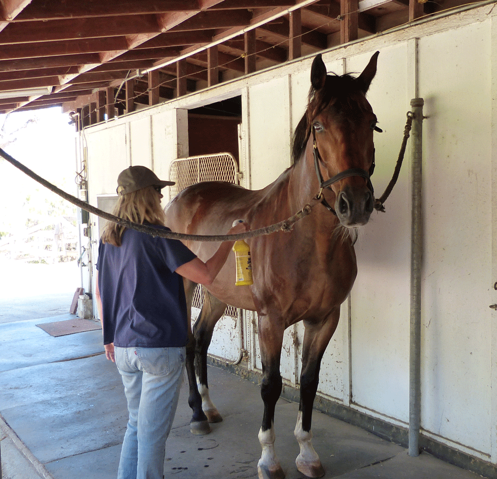 Barn Aisle & Crossties
