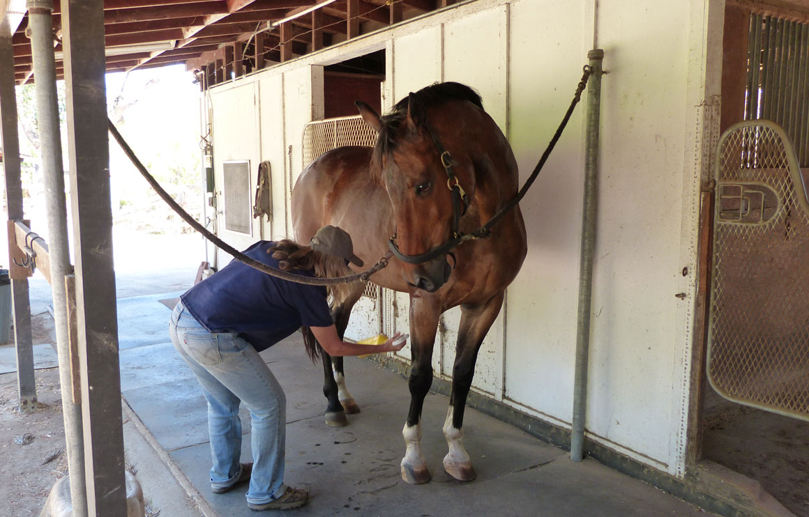 Barn Aisle & Crossties