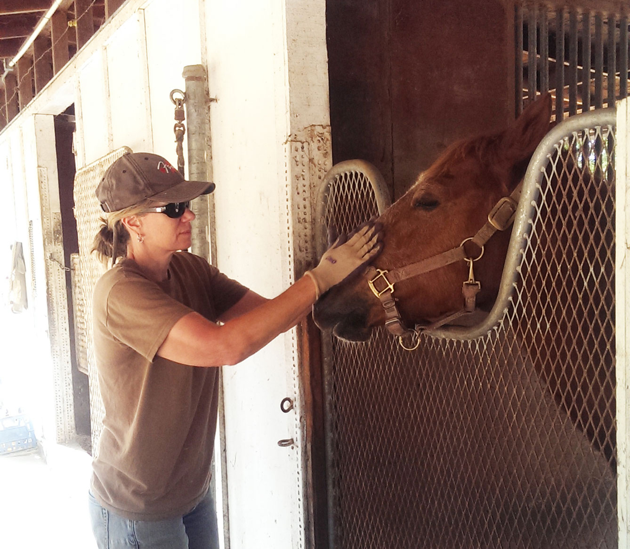 Barn In/Out Stall