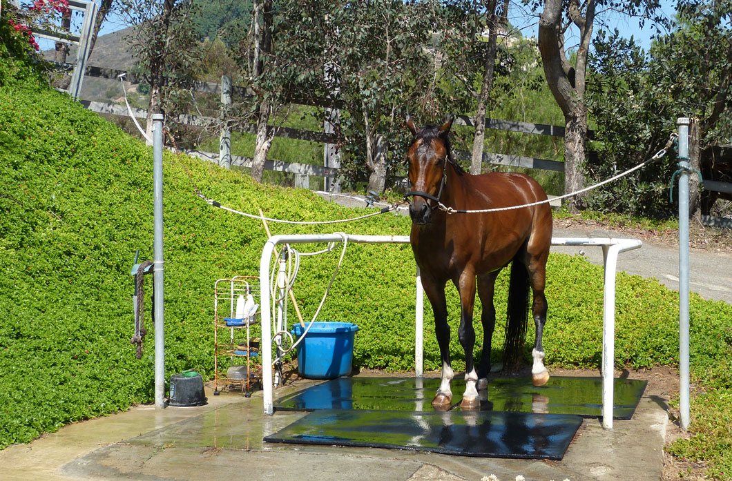 Wash Rack