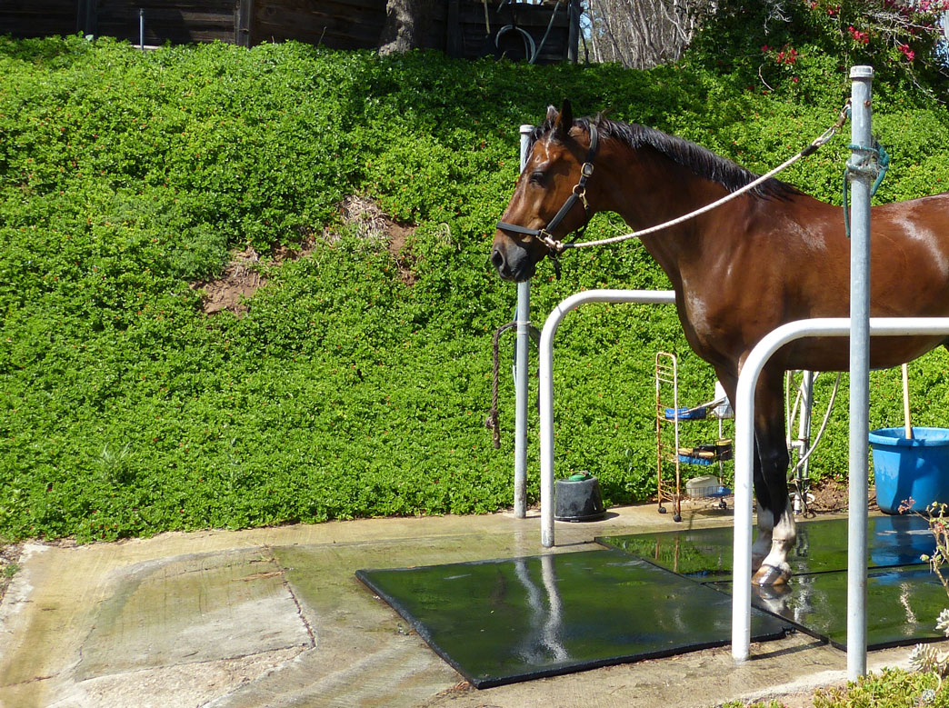 Wash Rack