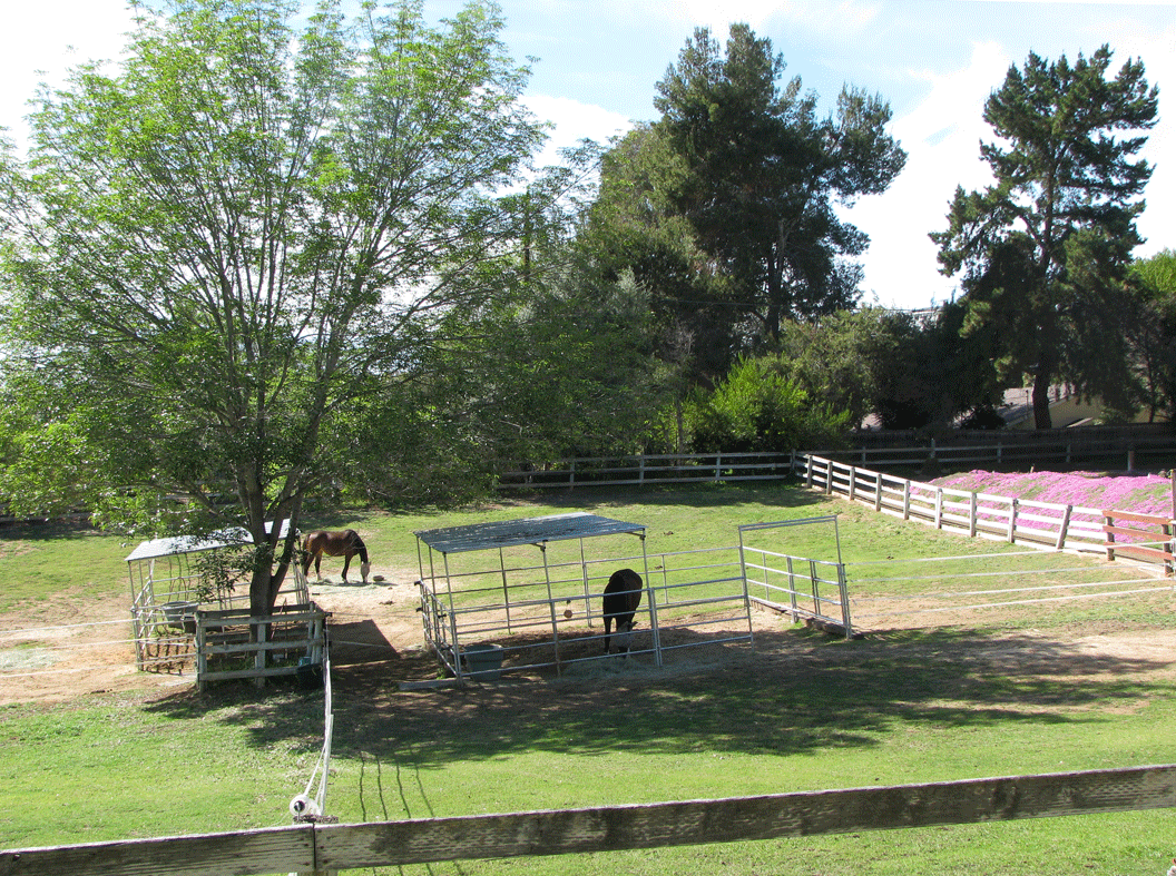 West Pastures