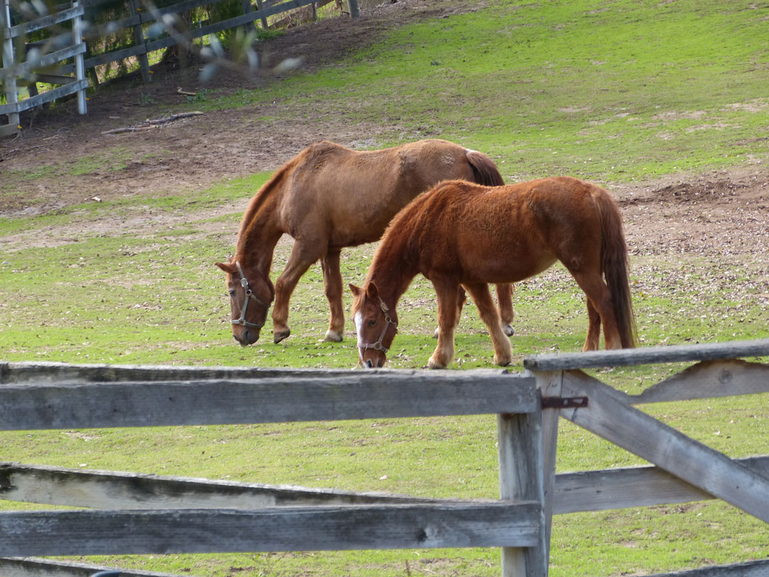 West Pastures