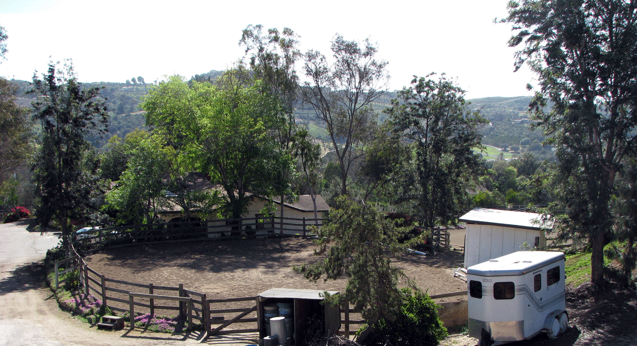Lunging Arena