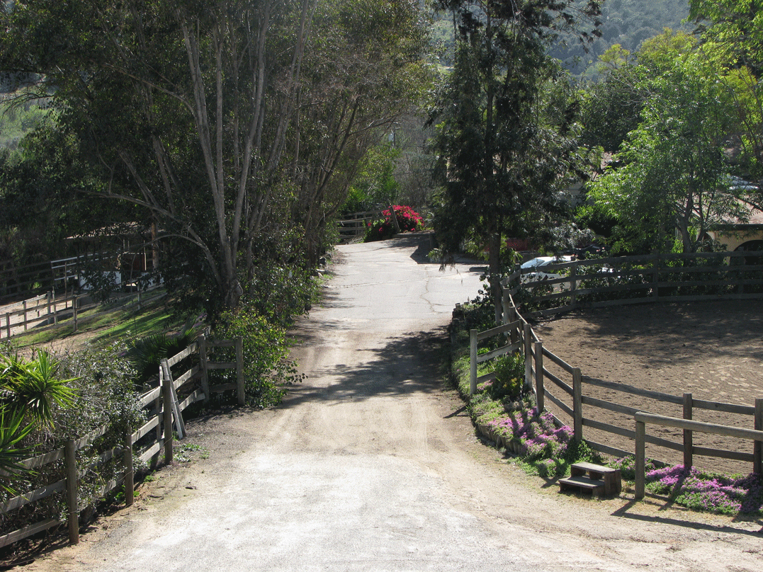 Driveway & Lunging Arena