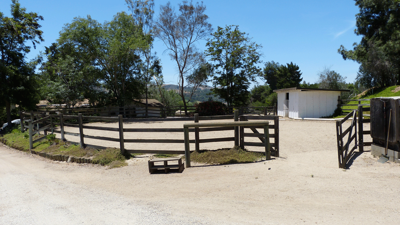 Lunging Arena