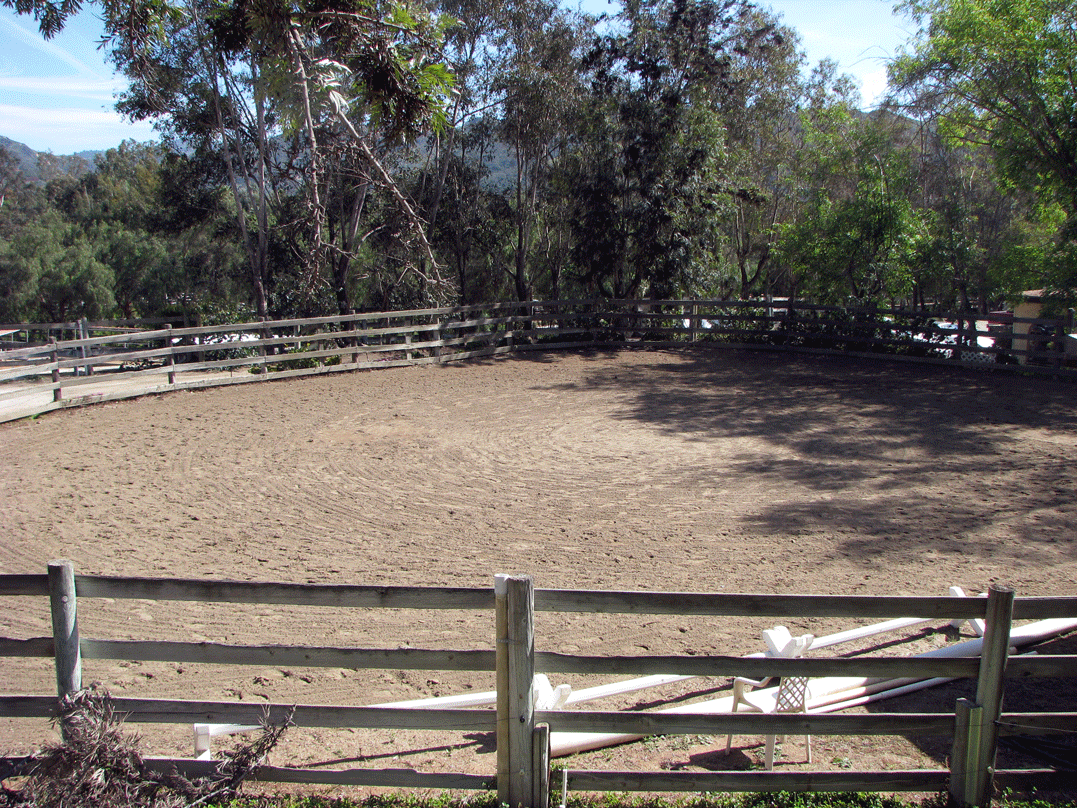 Lunging Arena