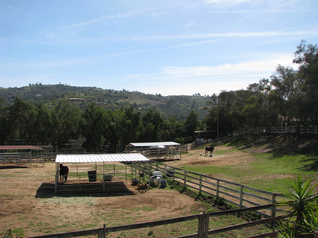 East Pastures