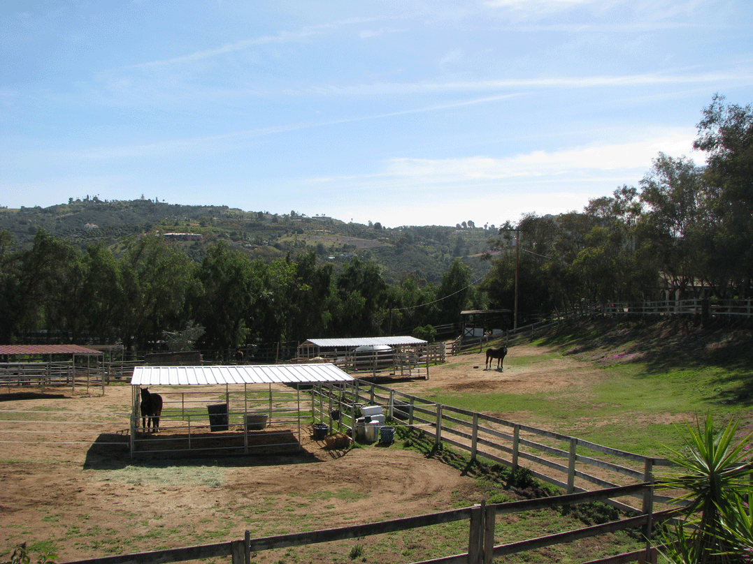 East Pastures