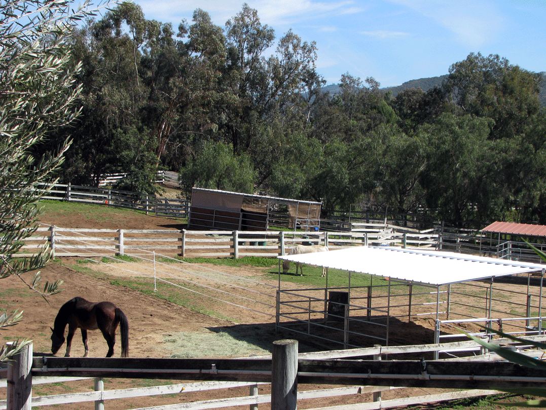 East Pastures