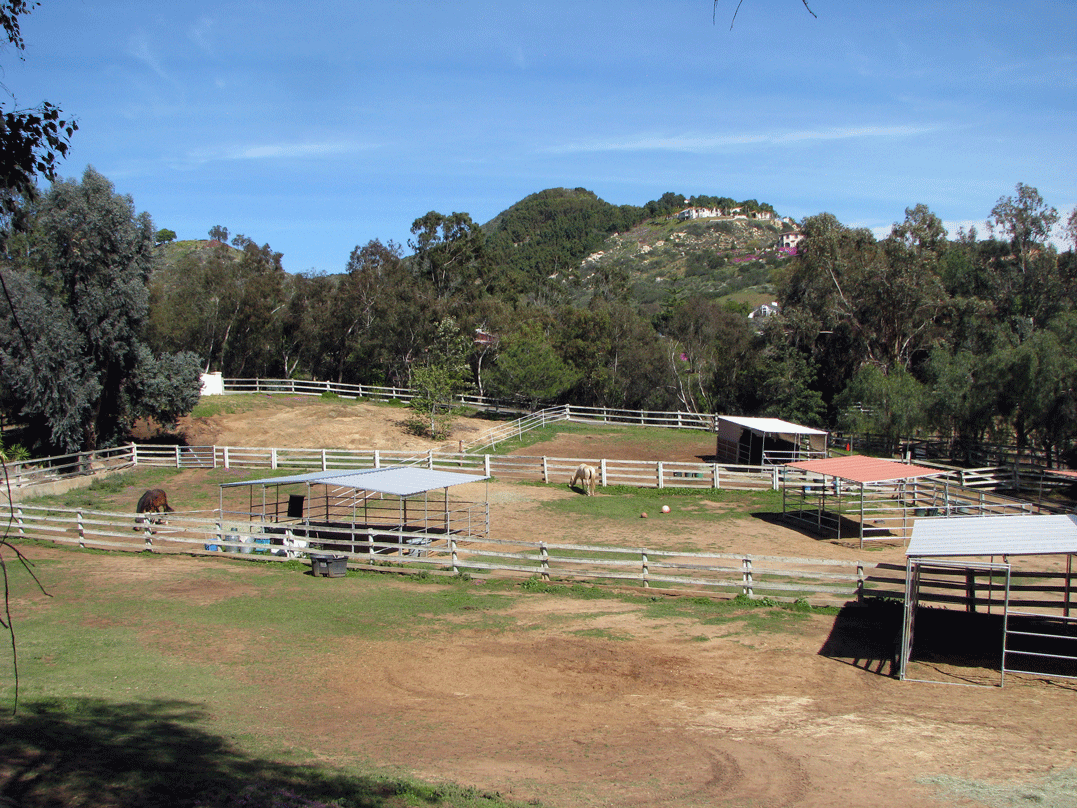 East Pastures