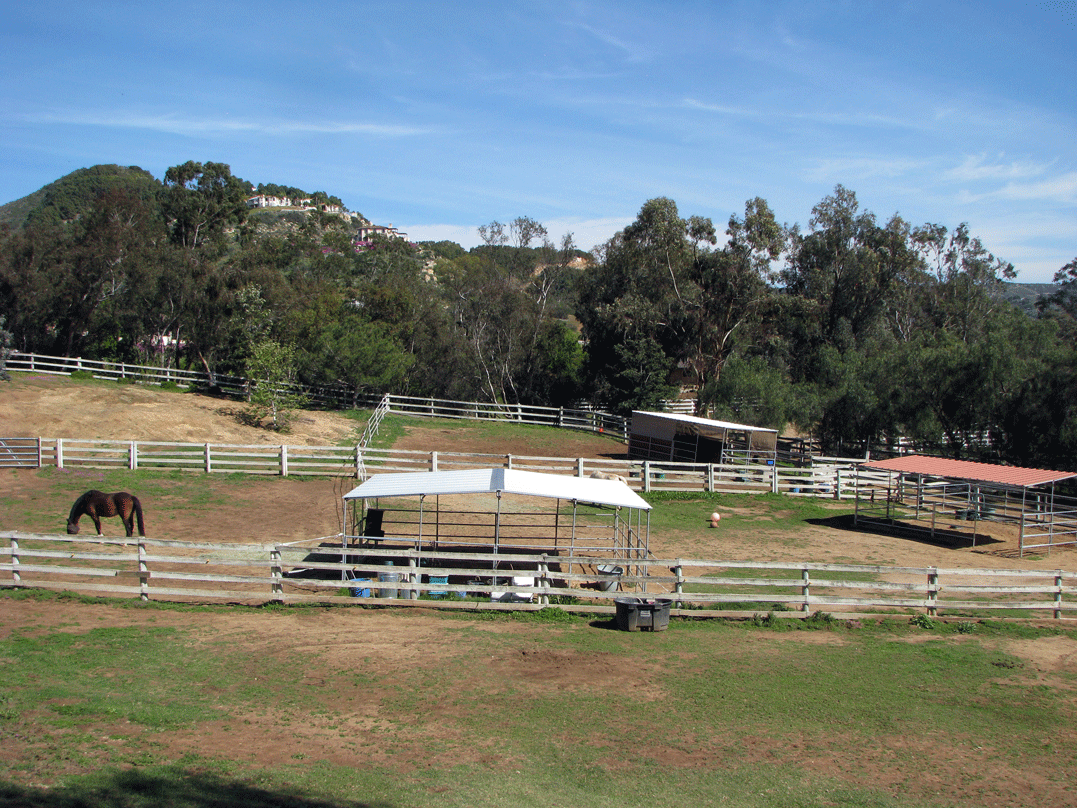 East Pastures