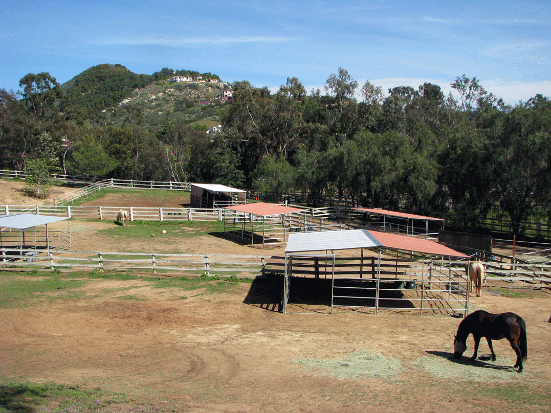 East Pastures