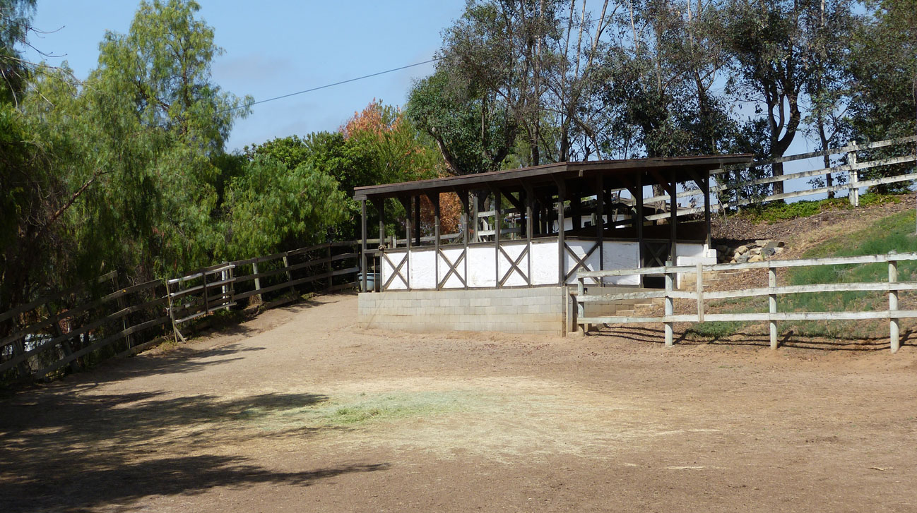 East Pasture with Shade Trees + Oversized Enclosure